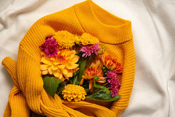 How Custom Sweater Colors Harness Seasonal Color Psychology for Emotional Wellness