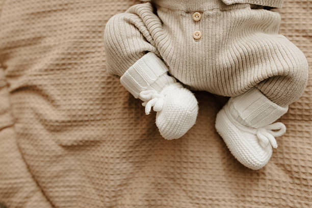 merino wool knitwear