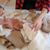 Sweater Sample Development
